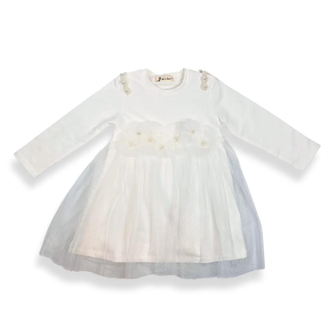 Pleat Applique Mesh Tulle Dress