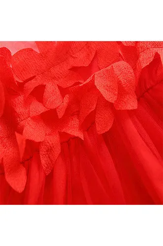 Red Mesh Dress